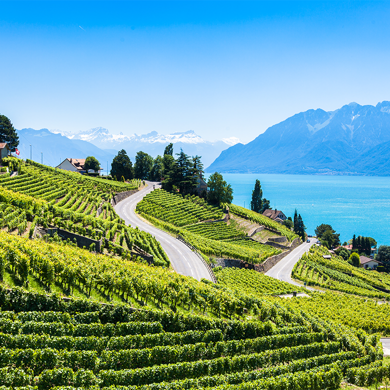 suisse